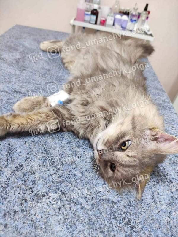 Хортон выжил после таких преступлений. Он должен жить