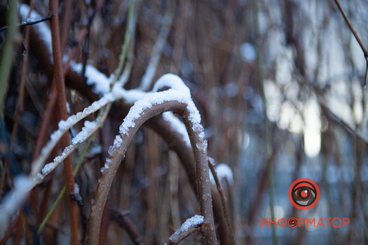 - Что происходит на свете? - Просто весна