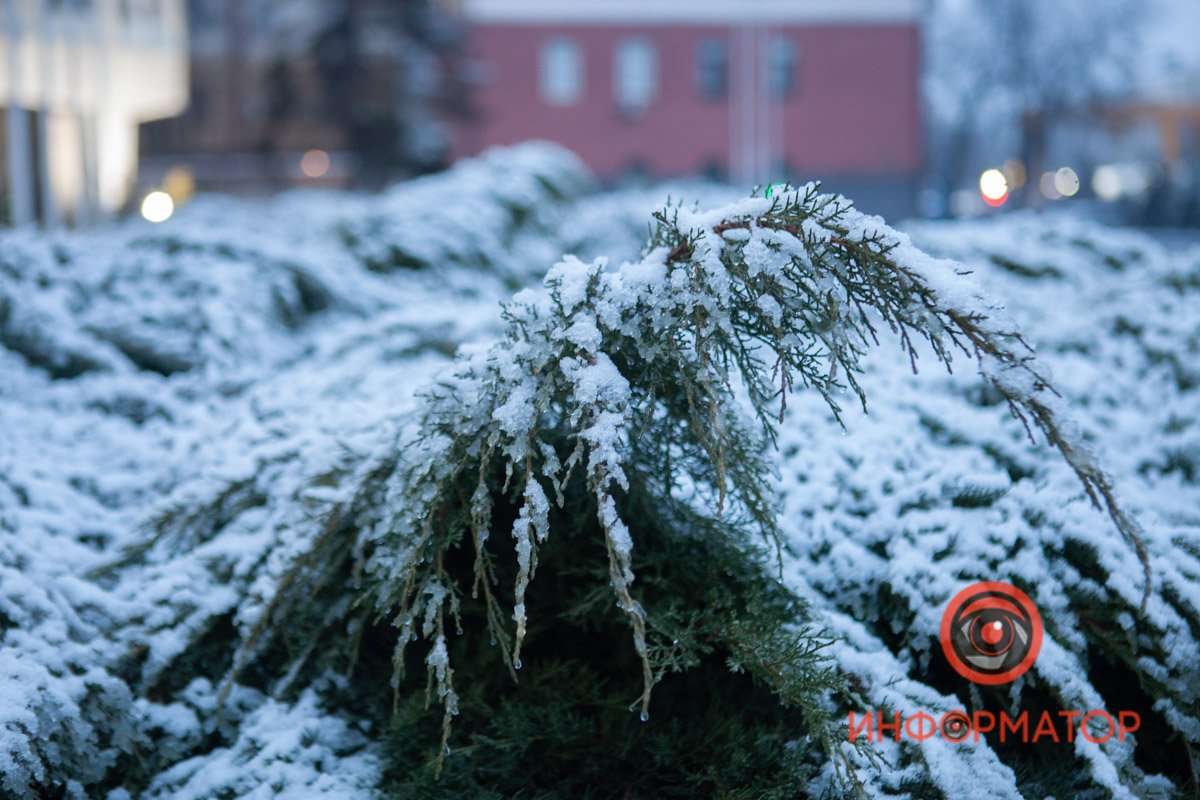 Удивительная погода