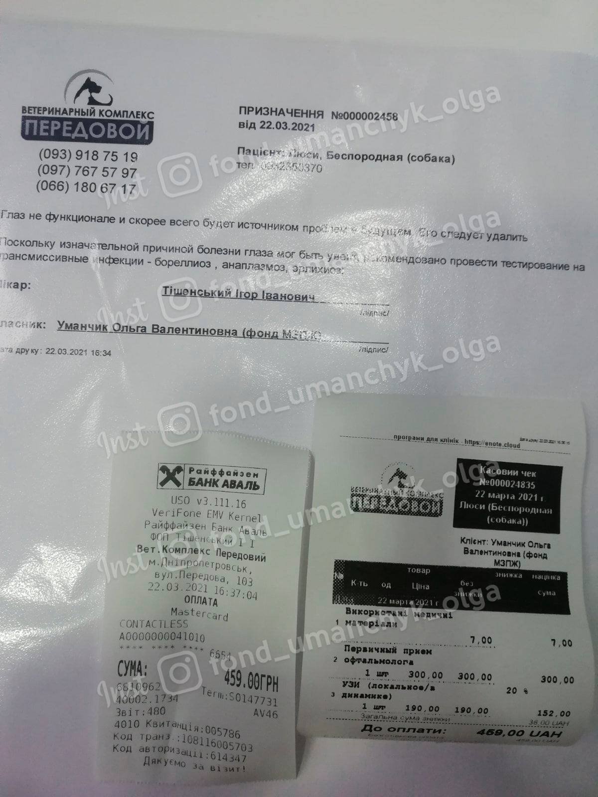 В Днепре слепую собаку облили кислотой: нужна помощь 1