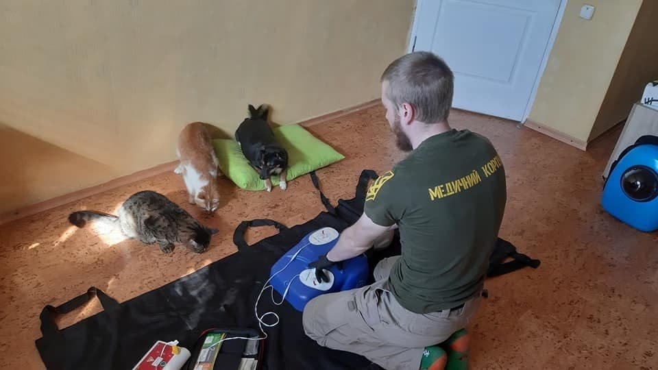 Для домашних питомцев ? :) Для домашних питомцев ? :)