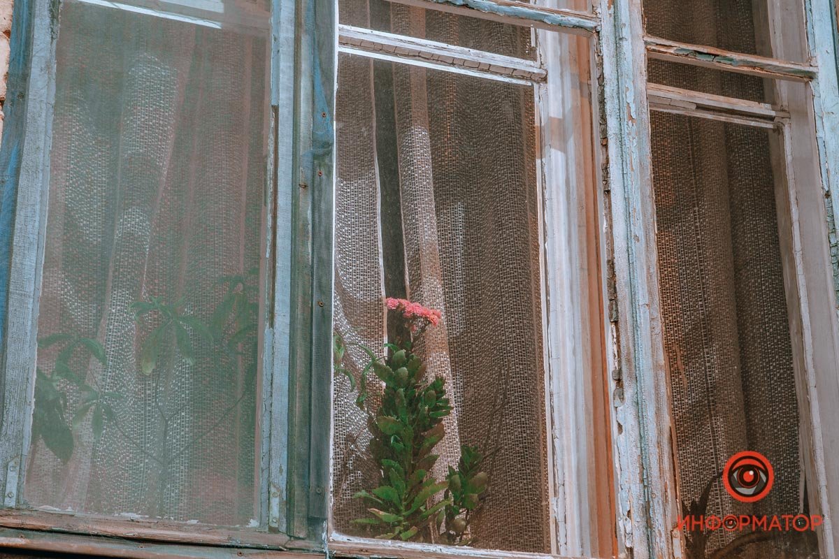 Кусочек флоры