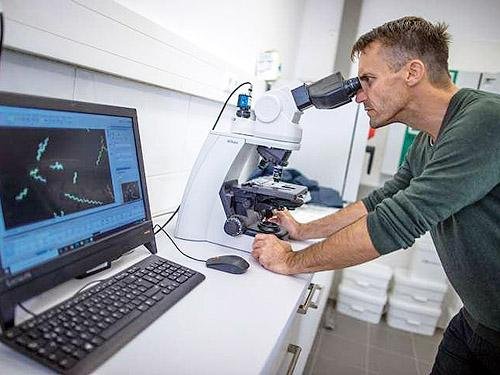 Экспертиза "спиртового" бензина в Украине: достойная альтернатива или обман? 4