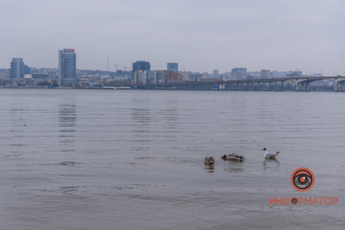 Весна Весна