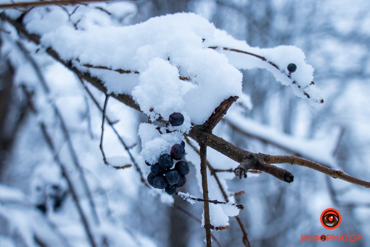 Не ожидали увидеть такое в конце марта? Не ожидали увидеть такое в конце марта?