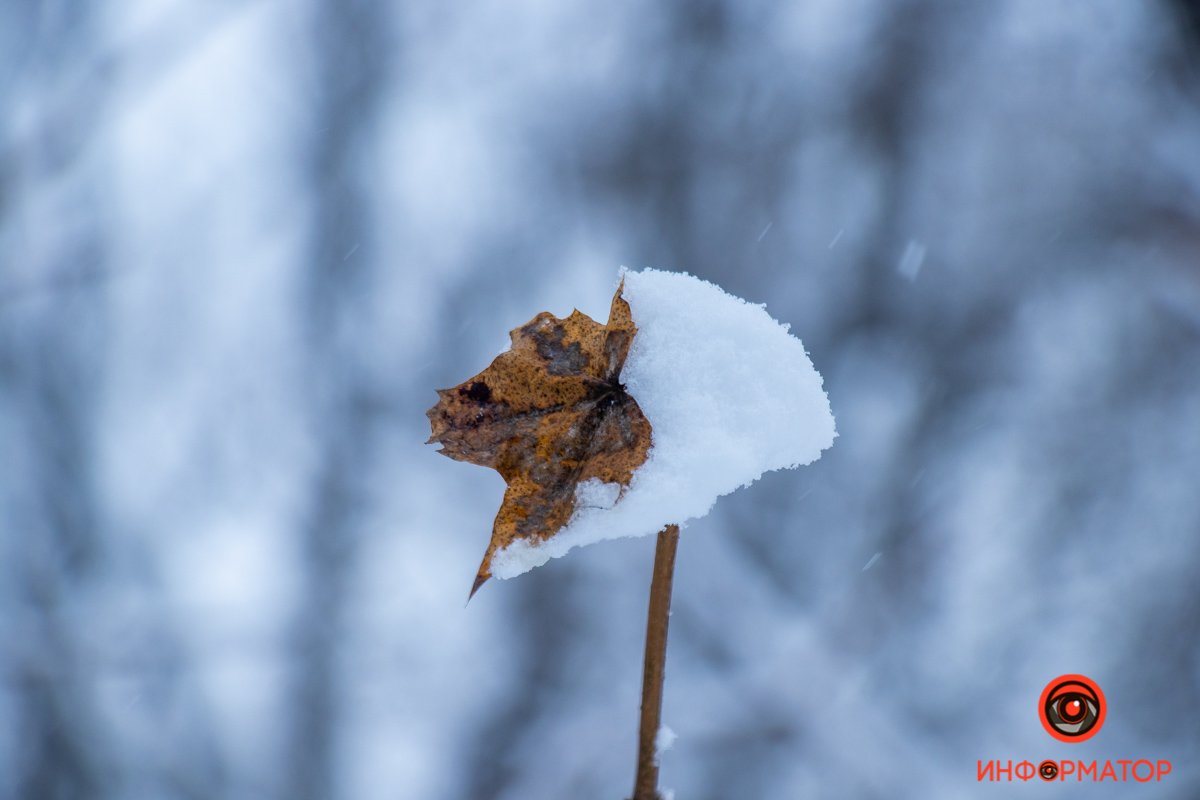 Фото: Андрей Батозский Фото: Андрей Батозский