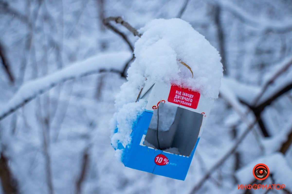 Не забываем кормить птиц Не забываем кормить птиц