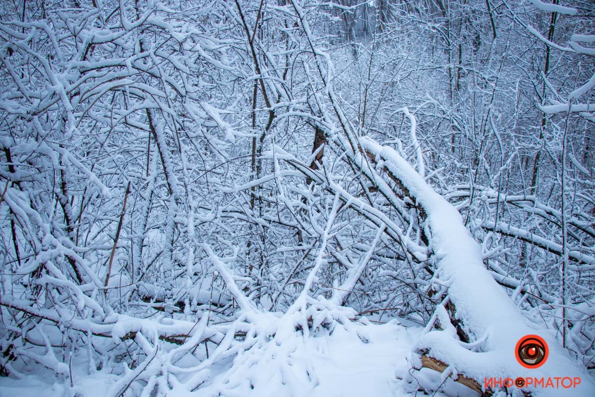 Вы знаете, у кого самые крутые фото Вы знаете, у кого самые крутые фото