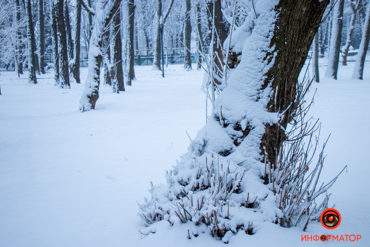 Пусть никакая погода не портит вам настроение Пусть никакая погода не портит вам настроение