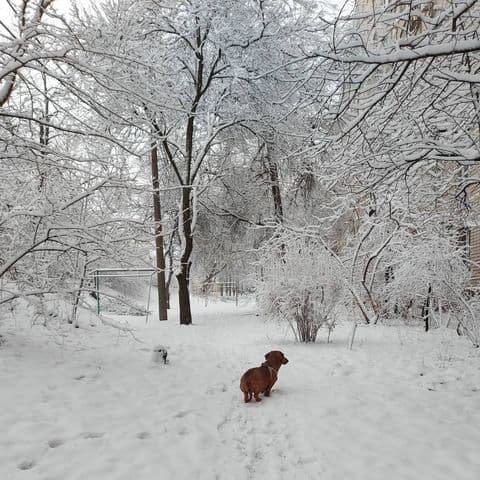 Фото: @vasellina_ya Фото: @vasellina_ya