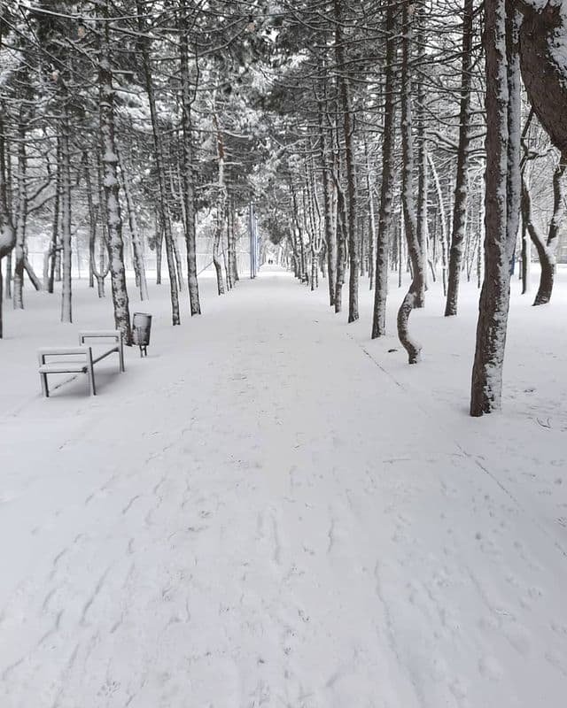 Фото: @marialaskaa Фото: @marialaskaa