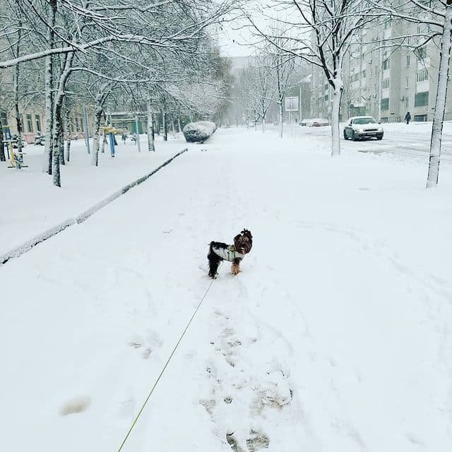 Фото: @mukha4988 Фото: @mukha4988