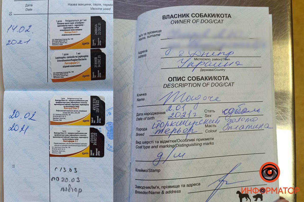 Отличие наклеек: вверху - 2 поддельные, внизу - 2 оригинальные Отличие наклеек: вверху - 2 поддельные, внизу - 2 оригинальные