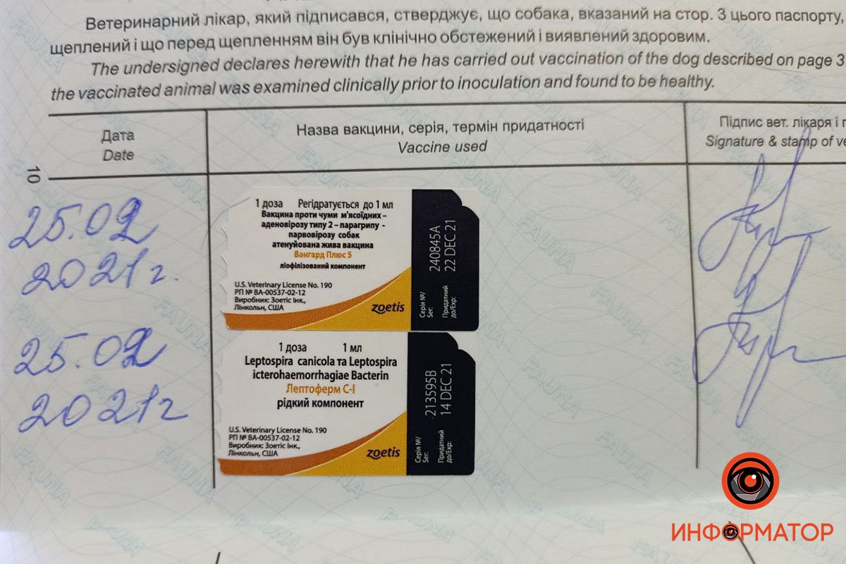 Заводчица продавала щенков с наличием всех прививок Заводчица продавала щенков с наличием всех прививок