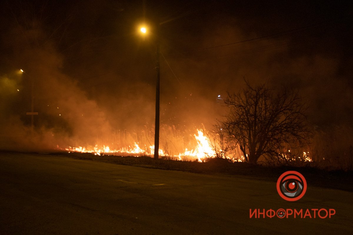 Камыш горел возле дома №800