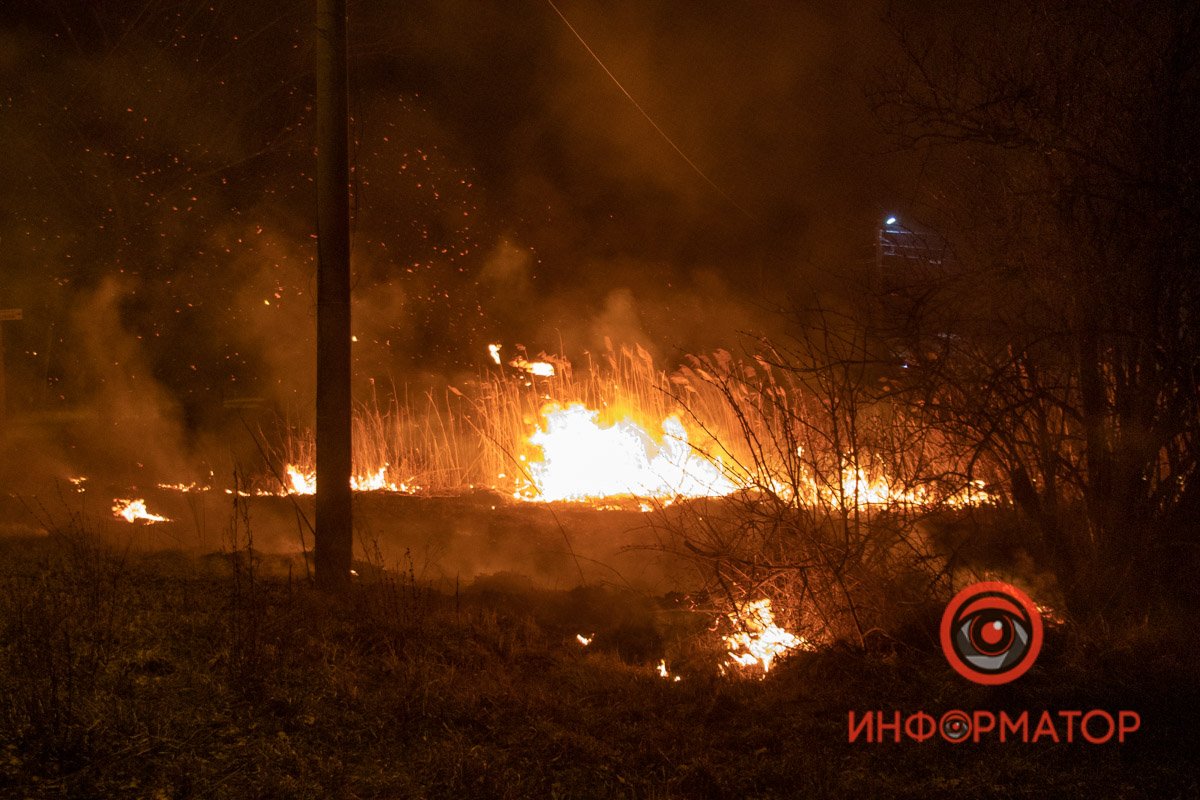Местные говорят, что камыш горит здесь не первый год