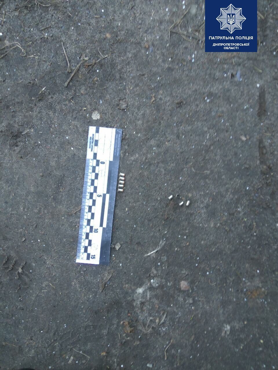 Очевидцы слышали стрельбу Очевидцы слышали стрельбу