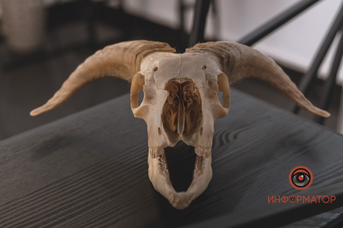 Антураж Антураж