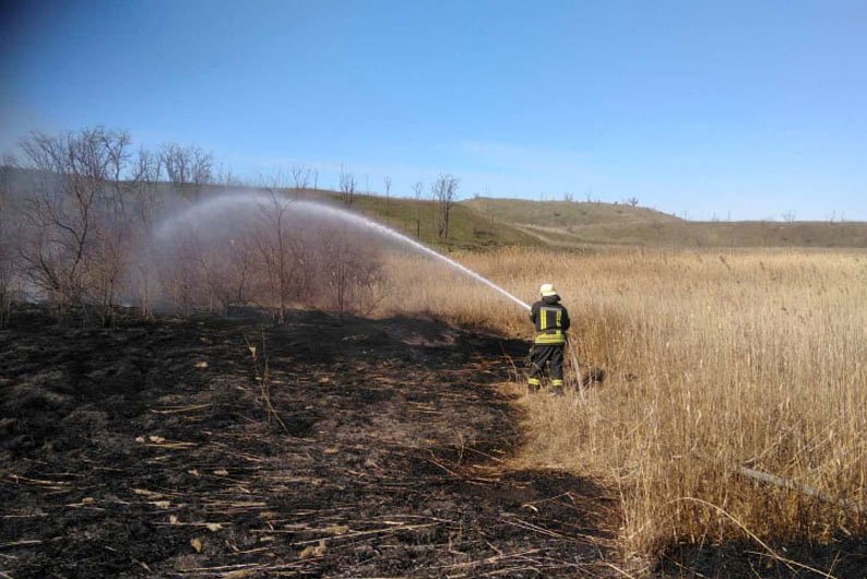 1 апреля рядом с селом Старозаводское Никопольского района случился масштабный пожар