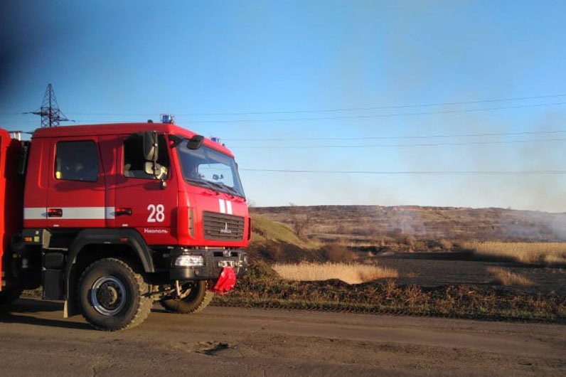 Здесь сгорели 4 гектара наземной экосистемы. 