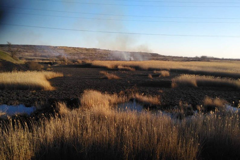 Спасатели призывают не сжигать сухую растительность