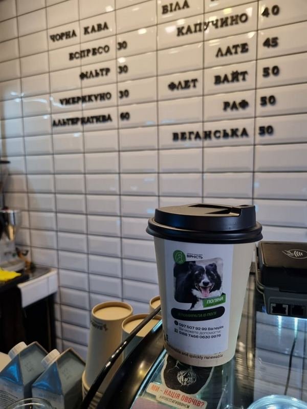 На стаканчики нанесли наклейки с изображениями и историями животных из приюта На стаканчики нанесли наклейки с изображениями и историями животных из приюта