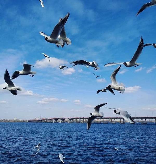@nature_mg777