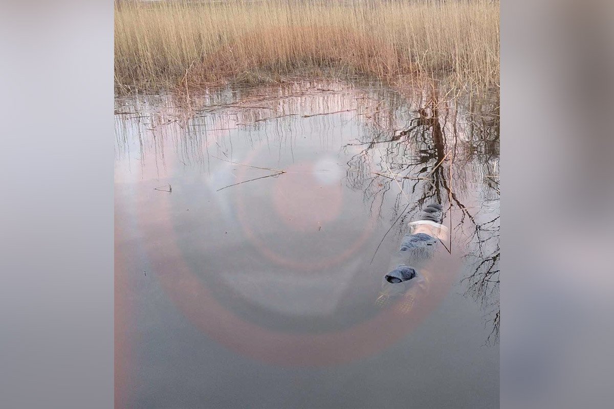 В Днепре водная полиция нашла труп мужчины среди камышей 1