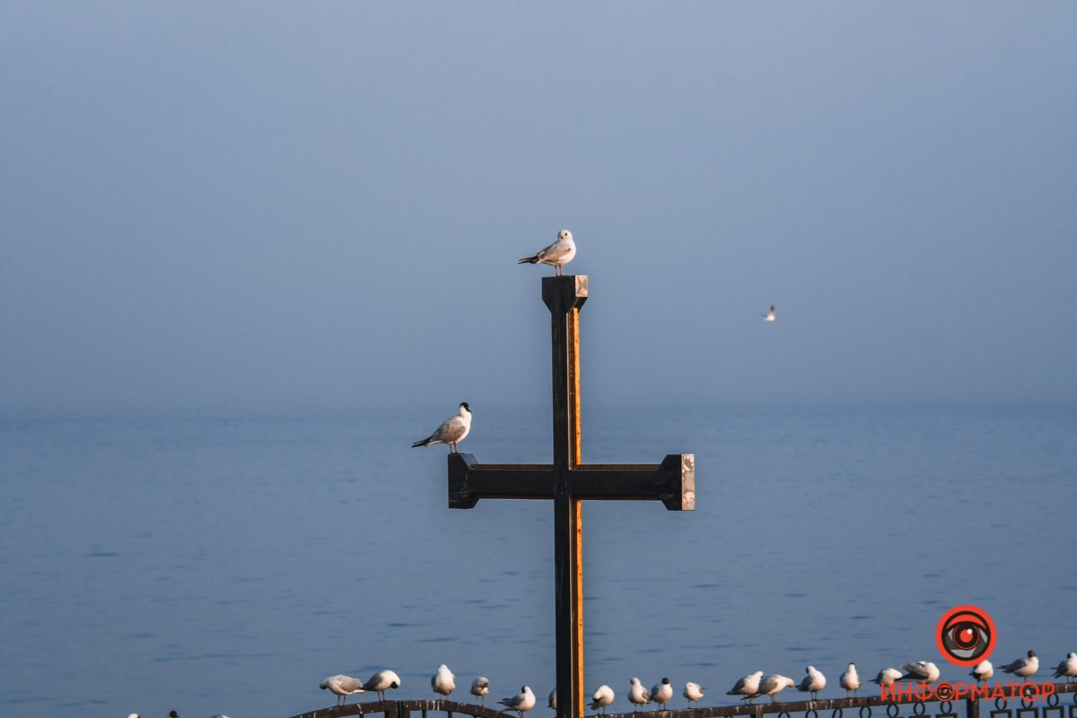 Не хотят заблудиться в тумане