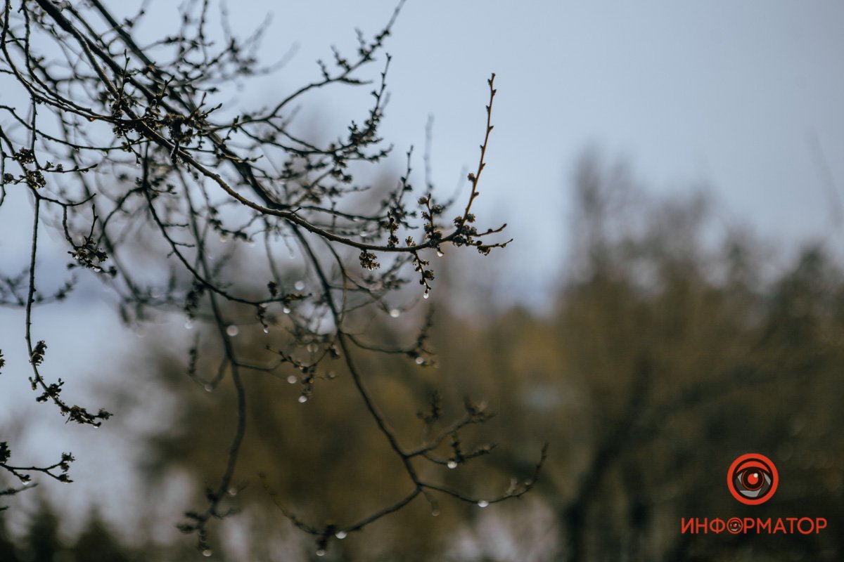 То - река весною, где То - река весною, где