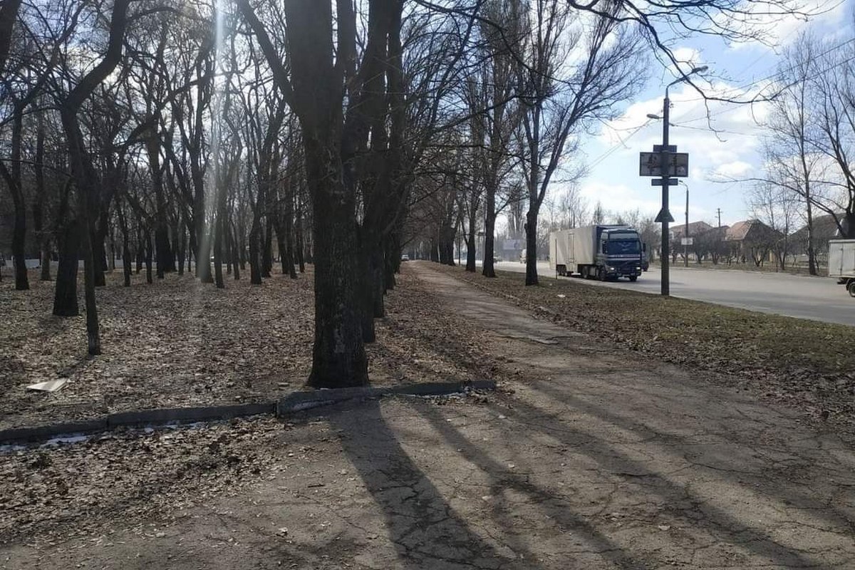 В сквере имени Клюева уберут мусор, посадят деревья и кустарники В сквере имени Клюева уберут мусор, посадят деревья и кустарники