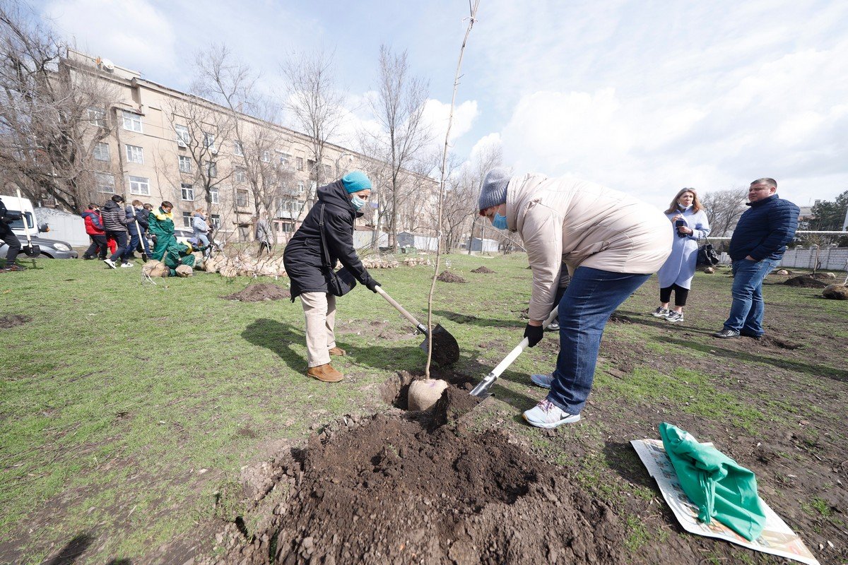 «Связь поколений»: в Днепре горожане всех возрастов объединились, чтобы высадить деревья для нового сквера 11