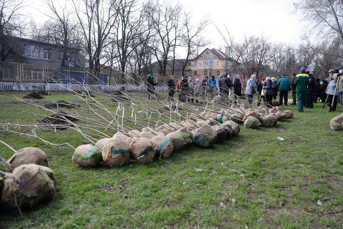 «Связь поколений»: в Днепре горожане всех возрастов объединились, чтобы высадить деревья для нового сквера 15