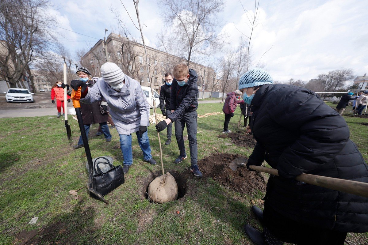 «Связь поколений»: в Днепре горожане всех возрастов объединились, чтобы высадить деревья для нового сквера 16