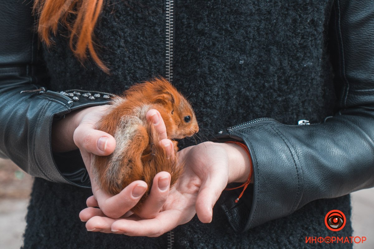 Малыш отправился в клинику