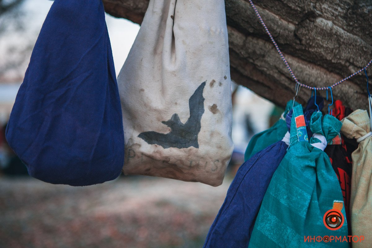 Из-за теплой зимы мыши вышли из спячки раньше положенного