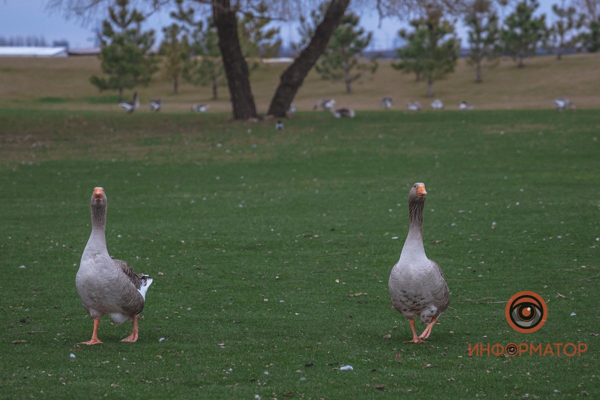 Ты че, нас фотографируешь?
