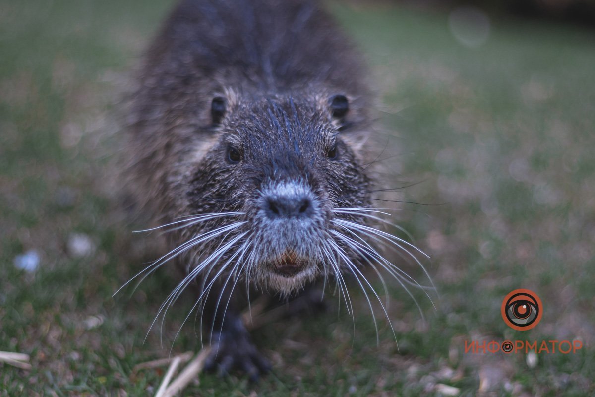 Здравствуйте