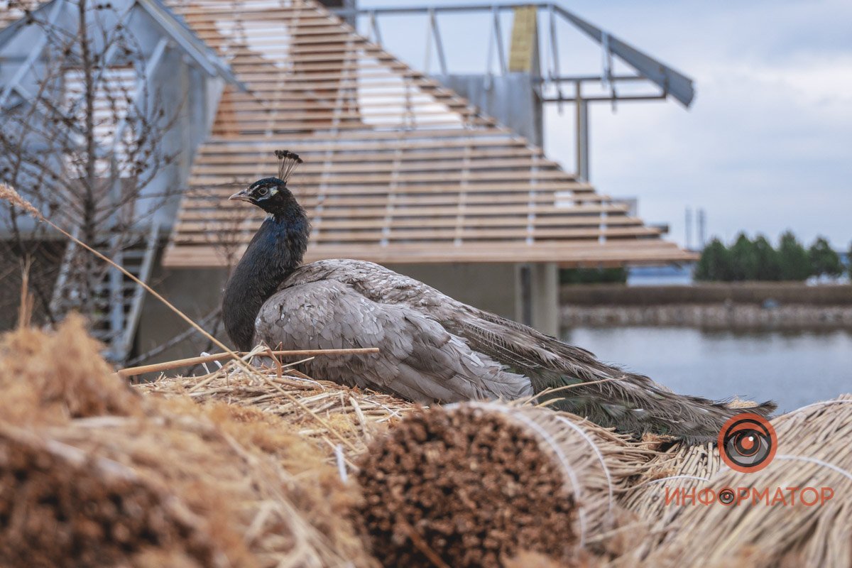 Природа рядом 