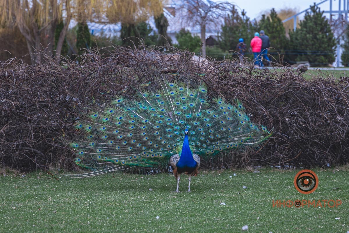 Поймал момент 