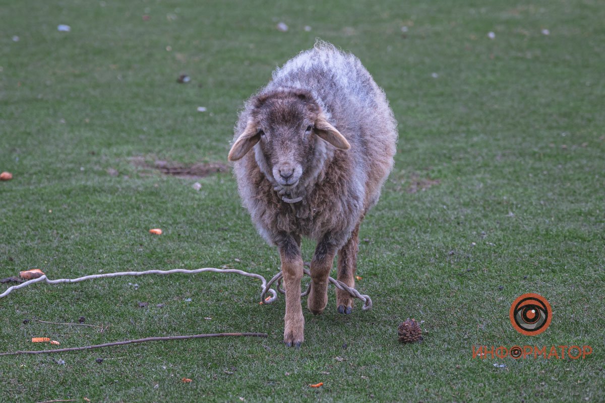 Звезда нашего выпуска