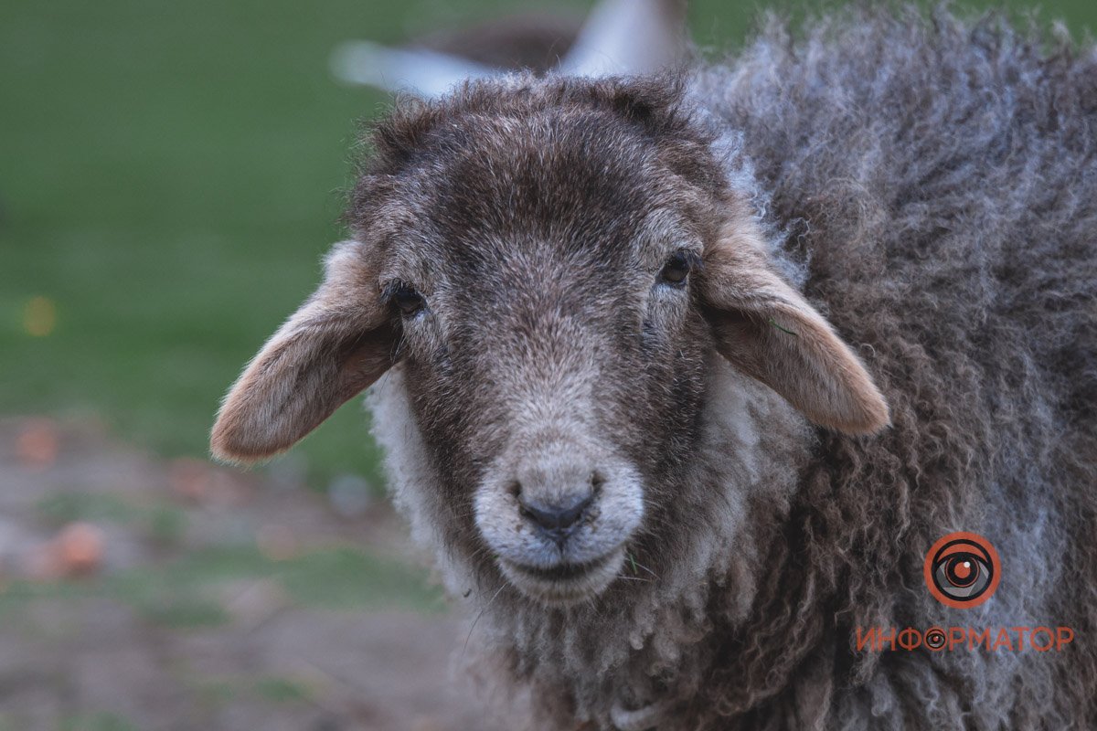 Я не ем то, что ешь ты