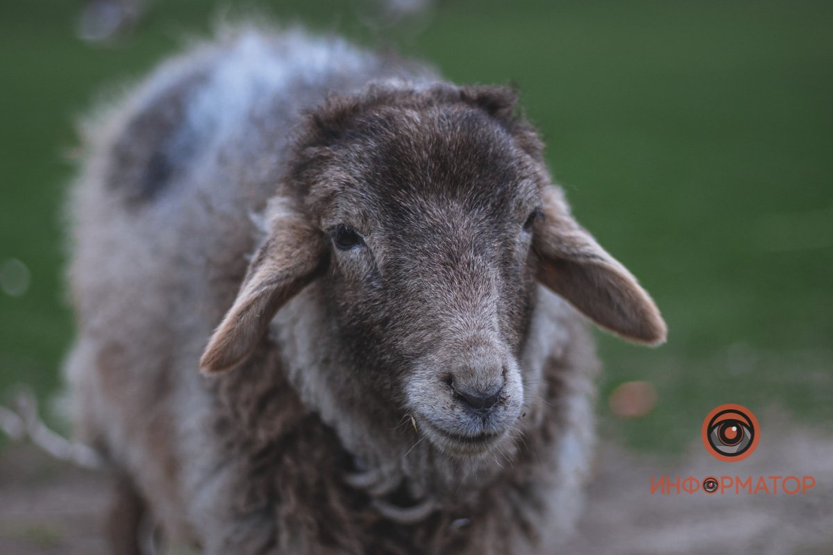 А ты не подходи