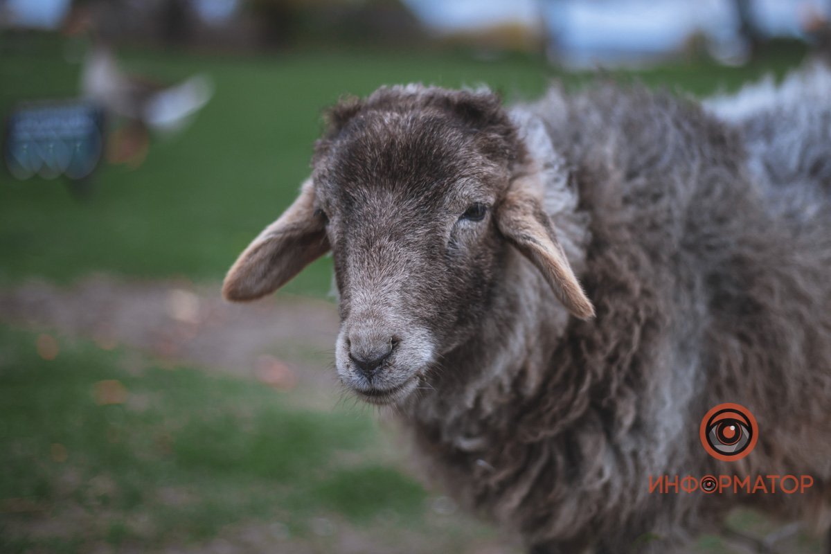 И я прекрасен 