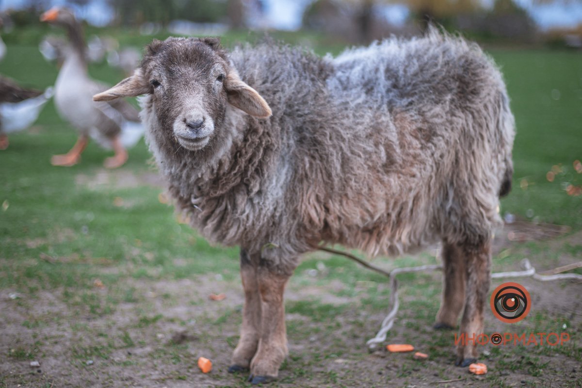 Только посмотри