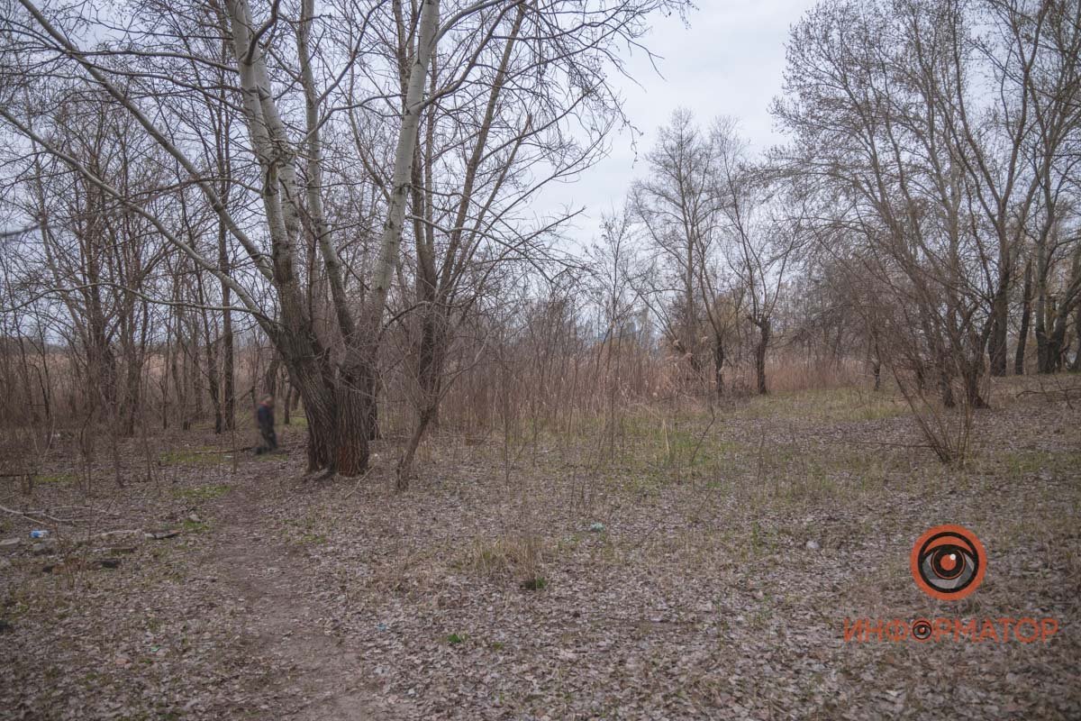 Очевидец сразу же позвонил в полицию