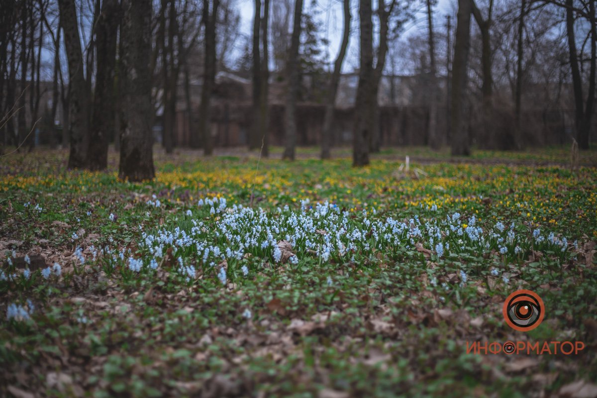 В ботанический сад в Днепре пришла весна 17