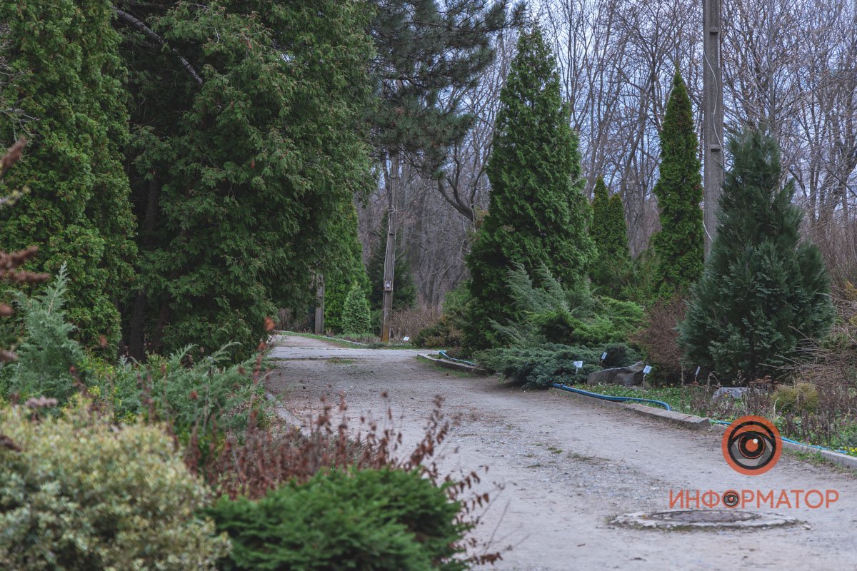 В ботанический сад в Днепре пришла весна 40