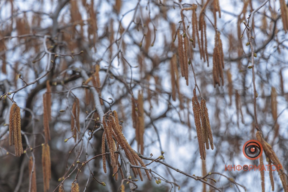 В ботанический сад в Днепре пришла весна 46