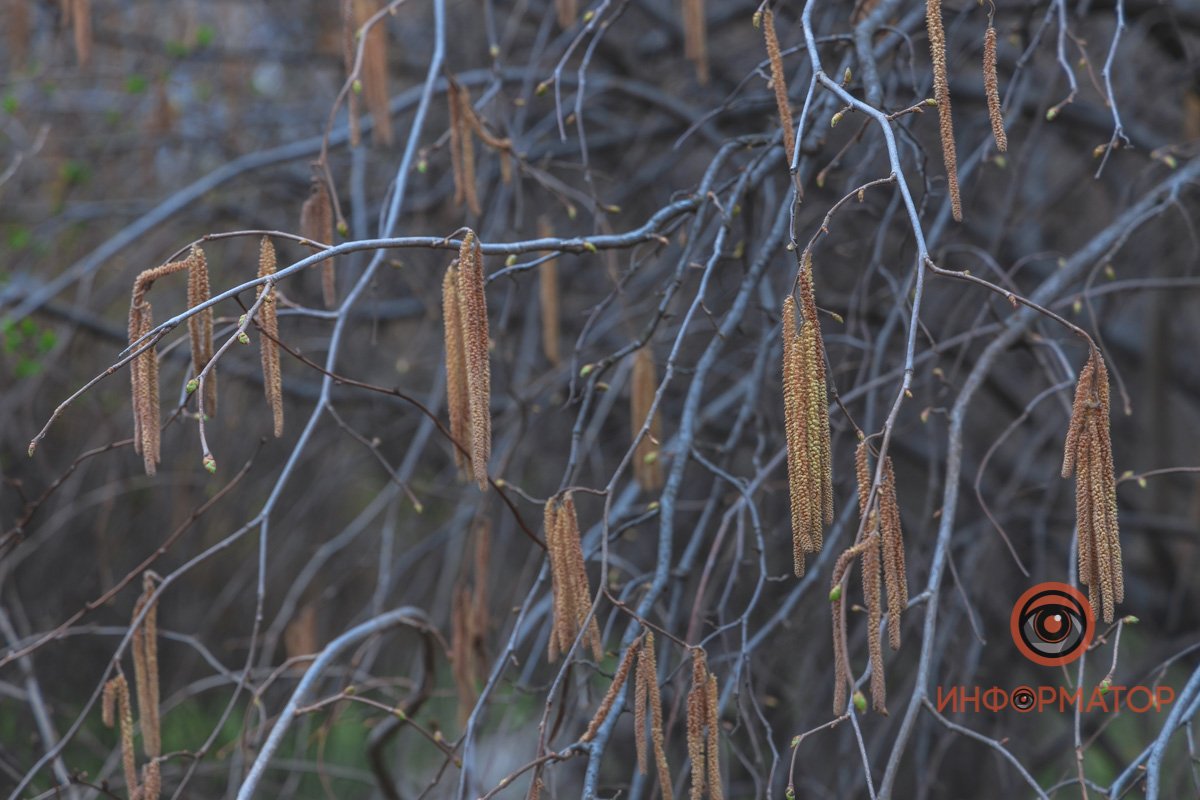 В ботанический сад в Днепре пришла весна 47